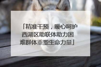 精准干预，暖心呵护 西湖区助联体助力困难群体重塑生命力量