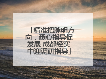 精准把脉明方向，悉心指导促发展 成都经实中迎调研指导