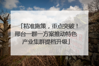 精准施策，重点突破！邢台一群一方案推动特色产业集群提档升级