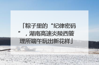 粽子里的“纪律密码”，湖南高速炎陵西管理所端午玩出新花样