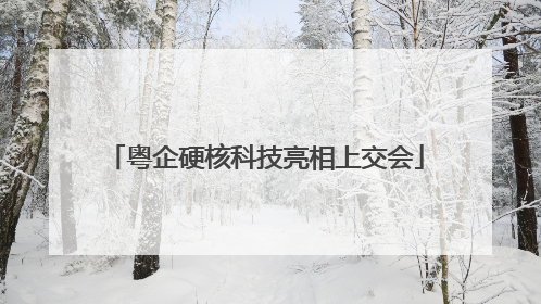 粤企硬核科技亮相上交会