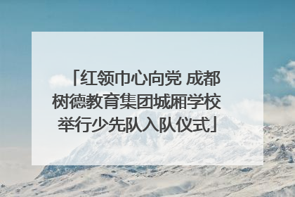 红领巾心向党 成都树德教育集团城厢学校举行少先队入队仪式