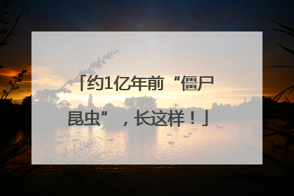 约1亿年前“僵尸昆虫”，长这样！