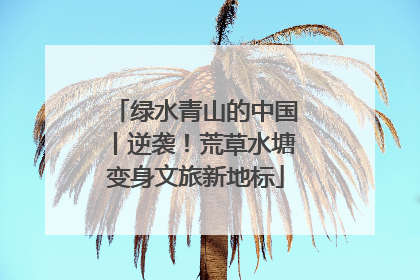 绿水青山的中国丨逆袭！荒草水塘变身文旅新地标