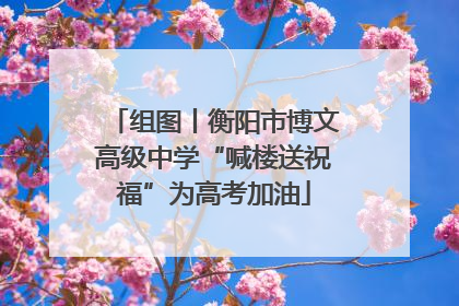 组图丨衡阳市博文高级中学“喊楼送祝福”为高考加油
