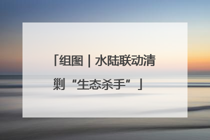组图｜水陆联动清剿“生态杀手”
