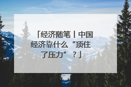 经济随笔丨中国经济靠什么“顶住了压力”？