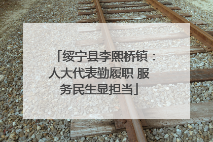 绥宁县李熙桥镇：人大代表勤履职 服务民生显担当