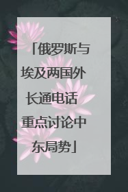 俄罗斯与埃及两国外长通电话 重点讨论中东局势