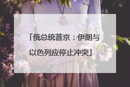 俄总统普京：伊朗与以色列应停止冲突