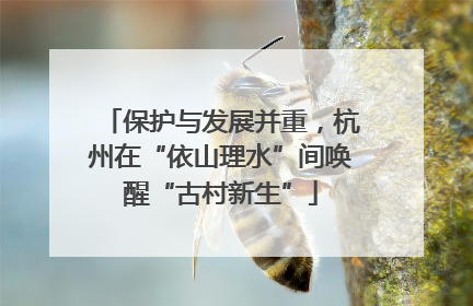 保护与发展并重，杭州在“依山理水”间唤醒“古村新生”