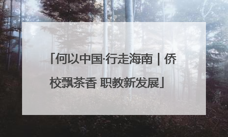 何以中国·行走海南｜侨校飘茶香 职教新发展