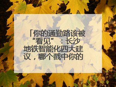 你的通勤路该被 “看见”：长沙地铁智能化四大建议，哪个戳中你的出行痛点？