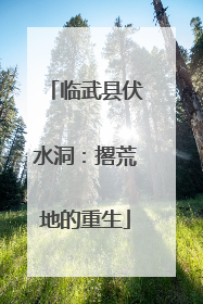 临武县伏水洞：撂荒地的重生