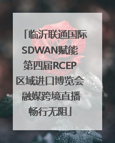 临沂联通国际SDWAN赋能第四届RCEP区域进口博览会 融媒跨境直播畅行无阻