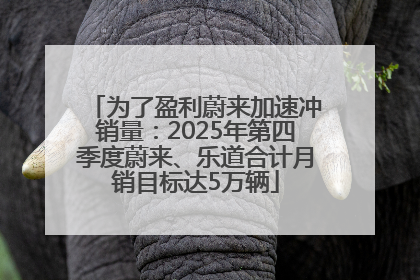 为了盈利蔚来加速冲销量：2025年第四季度蔚来、乐道合计月销目标达5万辆