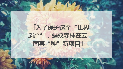为了保护这个“世界遗产”，蚂蚁森林在云南再“种”新项目
