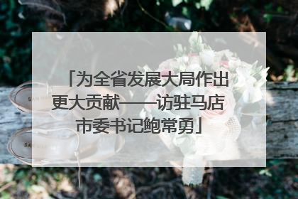 为全省发展大局作出更大贡献——访驻马店市委书记鲍常勇