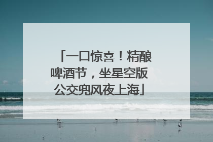 一口惊喜！精酿啤酒节，坐星空版公交兜风夜上海