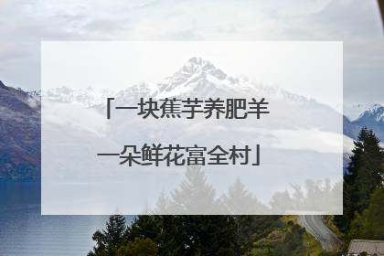 一块蕉芋养肥羊 一朵鲜花富全村