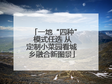 一地“四种” 模式任选 从定制小菜园看城乡融合新图景