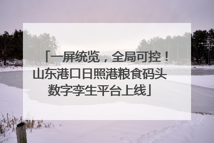 一屏统览，全局可控！山东港口日照港粮食码头数字孪生平台上线