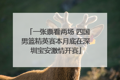 一张票看两场 四国男篮精英赛本月底在深圳宝安激情开赛