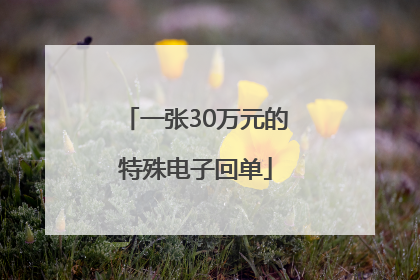 一张30万元的特殊电子回单