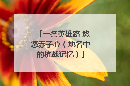 一条英雄路 悠悠赤子心（地名中的抗战记忆）