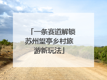 一条赛道解锁苏州望亭乡村旅游新玩法