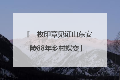 一枚印章见证山东安陵88年乡村蝶变