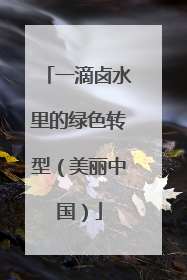 一滴卤水里的绿色转型（美丽中国）