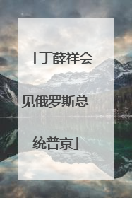 丁薛祥会见俄罗斯总统普京