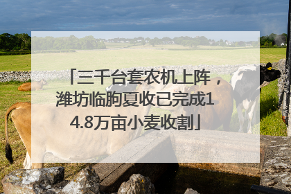 三千台套农机上阵，潍坊临朐夏收已完成14.8万亩小麦收割