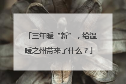 三年暖“新”，给温暖之州带来了什么？