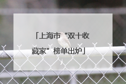 上海市“双十收藏家”榜单出炉