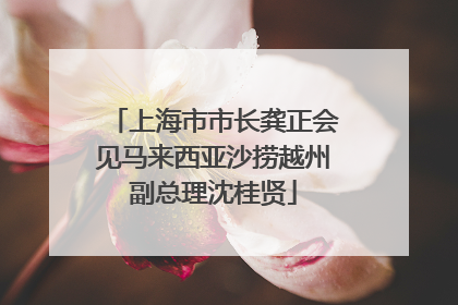 上海市市长龚正会见马来西亚沙捞越州副总理沈桂贤