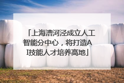 上海漕河泾成立人工智能分中心，将打造AI技能人才培养高地
