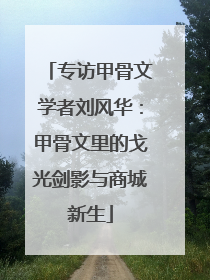 专访甲骨文学者刘风华：甲骨文里的戈光剑影与商城新生