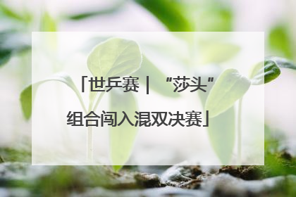 世乒赛｜“莎头”组合闯入混双决赛