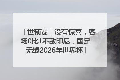 世预赛｜没有惊喜，客场0比1不敌印尼，国足无缘2026年世界杯