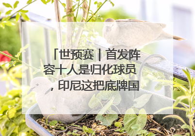 世预赛｜首发阵容十人是归化球员，印尼这把底牌国足如何应对？