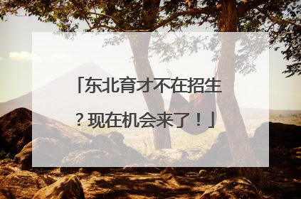 东北育才不在招生？现在机会来了！
