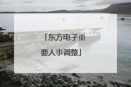 东方电子重要人事调整