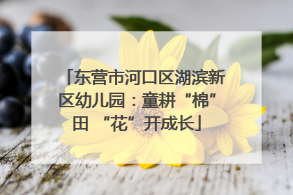 东营市河口区湖滨新区幼儿园：童耕“棉”田 “花”开成长