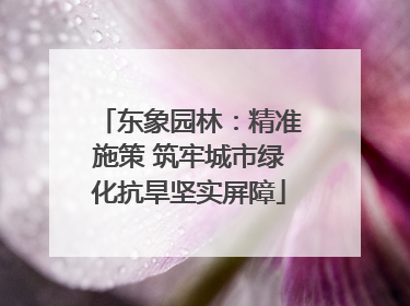 东象园林：精准施策 筑牢城市绿化抗旱坚实屏障