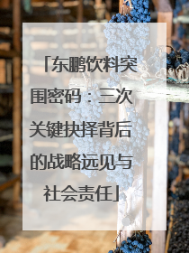 东鹏饮料突围密码：三次关键抉择背后的战略远见与社会责任