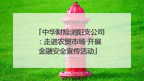 中华财险浏阳支公司：走进农贸市场 开展金融安全宣传活动