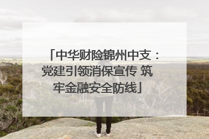 中华财险锦州中支：党建引领消保宣传 筑牢金融安全防线