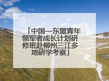 中国—东盟青年领军者成长计划研修班赴柳州三江多地研学考察